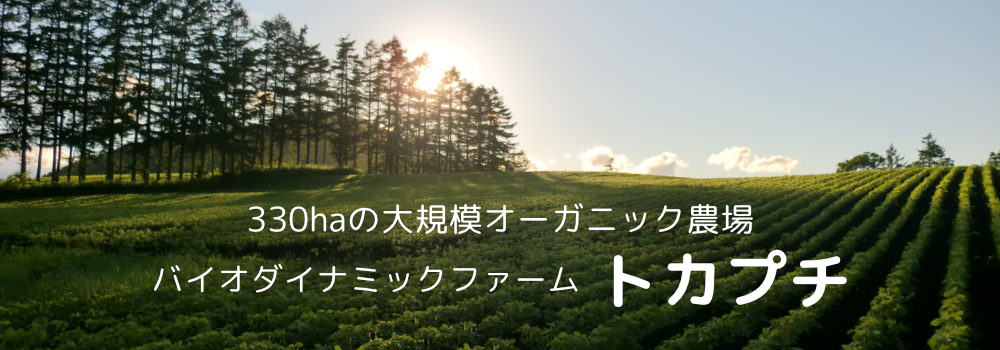 トカプチ